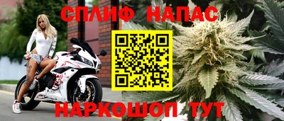 jwh Гусев