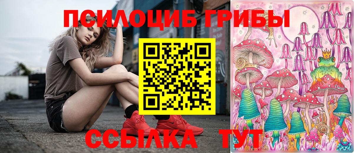 Псилоцибиновые грибы Magic Shrooms  Вход с VPN  Россия 
